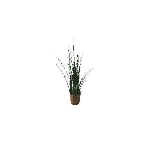 Plant 3